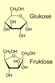 Monosaccharide: Glukose und Fruktose
